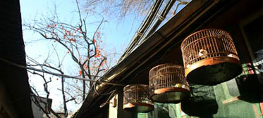 hutong