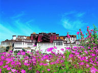 tibet